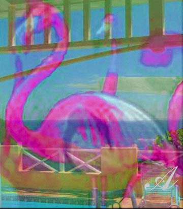 Villa-Madeleine - Flamingo-Way